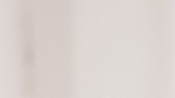 En el Día de la Madre se destacan y celebran los esfuerzos de las madres, así como su amor incondicional y dedicación a la crianza materna.