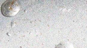 Hay protectores elaborados especialmente para capturar esos restos de comida y evitar que se vayan por el desagüe del fregadero.