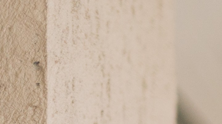 Con unos simples mensajes puedes llegar a cumplir con gestos maravillosos después de una primera cita.