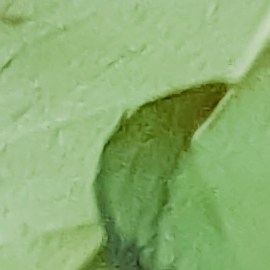 Cuando se trata de atraer el amor, los pétalos de rosa y la miel son dos elementos esotéricos muy poderosos.