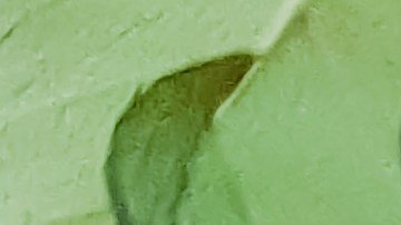 Cuando se trata de atraer el amor, los pétalos de rosa y la miel son dos elementos esotéricos muy poderosos.