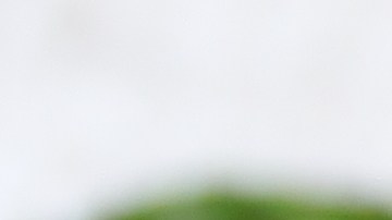 El pepino es una fruta que siempre refresca, y si lo conviertes en tu base para un mojito, imagínate lo delicioso que puede llegar a ser.