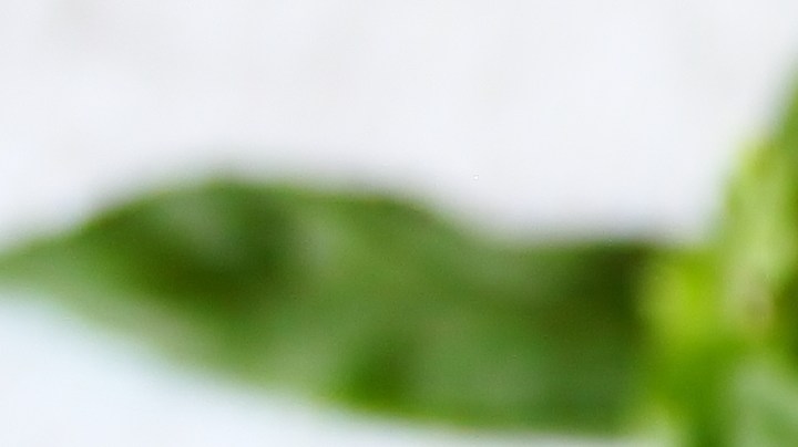 El pepino es una fruta que siempre refresca, y si lo conviertes en tu base para un mojito, imagínate lo delicioso que puede llegar a ser.