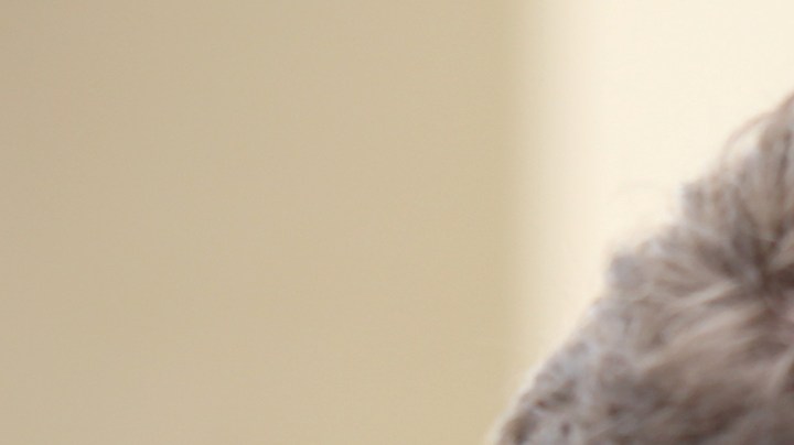 La primera cita después de un divorcio debe ser motivo de celebración personal, pues has tomado la decisión de renovar tu vida amorosa.