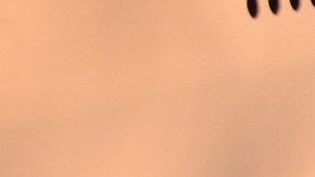 Hay quienes utilizan el microondas para recalentar el café, introduciendo la taza durante un par de minutos.