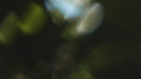 Al parecer, cuando tomas de una botella de plástico, ingieres una sustancia química utilizada para envasar alimentos y bebidas.