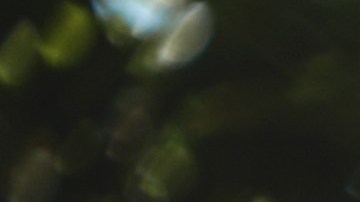 Al parecer, cuando tomas de una botella de plástico, ingieres una sustancia química utilizada para envasar alimentos y bebidas.