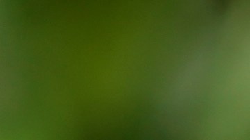 Quizás no sea necesario ser tan radical y eliminar la bebida por completo, pero también dependerá de tu condición de salud.