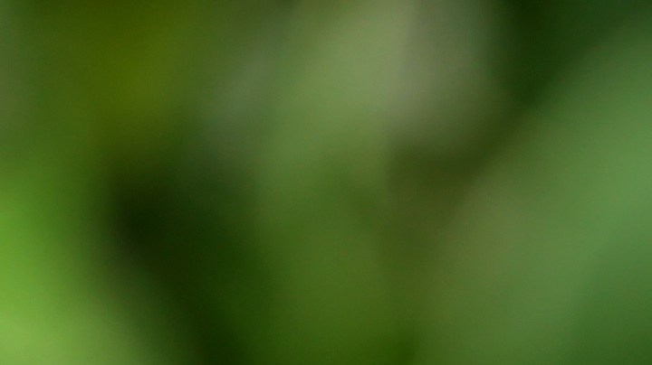 Quizás no sea necesario ser tan radical y eliminar la bebida por completo, pero también dependerá de tu condición de salud.