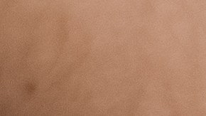 En el lado derecho del cuerpo hay varios órganos que pueden causar dolores: pulmones, vesícula biliar, páncreas, apéndice, colon y riñones.