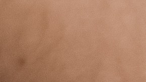 En el lado derecho del cuerpo hay varios órganos que pueden causar dolores: pulmones, vesícula biliar, páncreas, apéndice, colon y riñones.