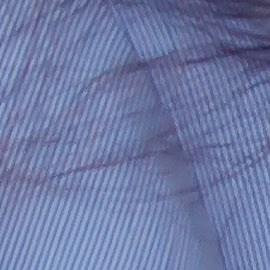 La sandía ofrece varios detalles en los que puedes fijarte para saber si está madura, aunque algunos son más efectivos que otros.