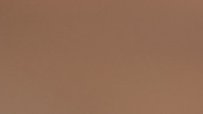 Lo más recomendable es beber la flor de Jamaica en infusión, es decir, caliente, pero también es válido como té frío.