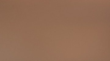 Lo más recomendable es beber la flor de Jamaica en infusión, es decir, caliente, pero también es válido como té frío.
