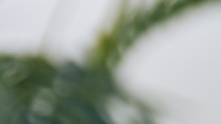 Es común que sobre café en cualquier hogar, porque hay días en los que no se calcula bien la cantidad o quizás lo preparaste y luego no te dio tiempo tomarlo.