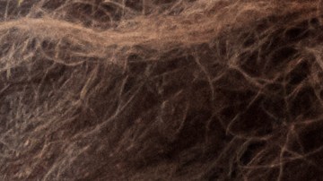 Jamás permitas insultos o amenazas a través de WhatsApp, ni ningún otro mensaje que altere tu bienestar emocional.