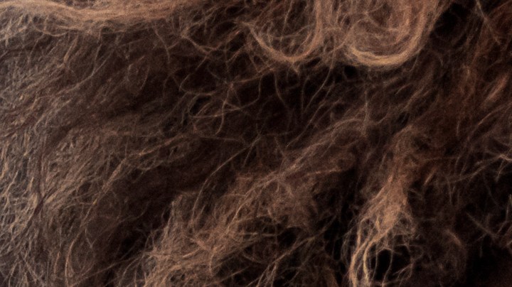 Jamás permitas insultos o amenazas a través de WhatsApp, ni ningún otro mensaje que altere tu bienestar emocional.