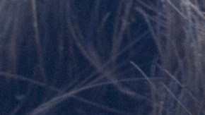 La psicología inversa casi nunca falla para conquistar a quien te gusta, a menos que esa persona realmente no esté interesada.