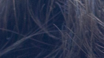 La psicología inversa casi nunca falla para conquistar a quien te gusta, a menos que esa persona realmente no esté interesada.