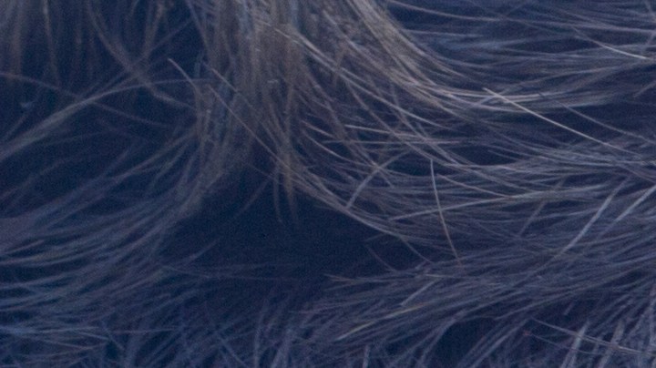 La psicología inversa casi nunca falla para conquistar a quien te gusta, a menos que esa persona realmente no esté interesada.