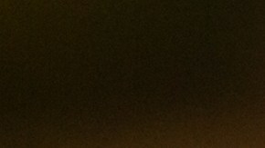 Los suplementos para el verano son esenciales para elevar el sistema inmunológico y proteger tu piel del daño solar.