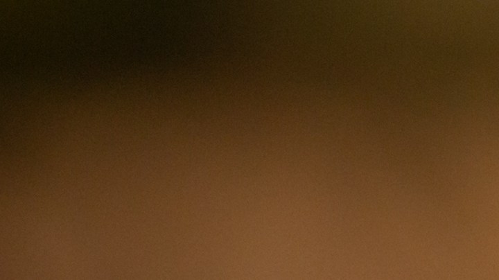 Los suplementos para el verano son esenciales para elevar el sistema inmunológico y proteger tu piel del daño solar.