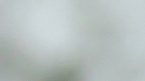 Cuando se trata de calmar la ansiedad, lo más recomendable es que bebas el té de laurel por las noches.