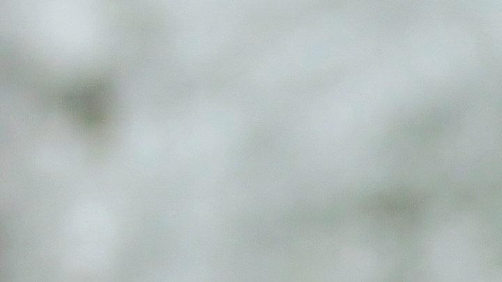 Cuando se trata de calmar la ansiedad, lo más recomendable es que bebas el té de laurel por las noches.