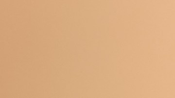 La planta de trébol proviene de la familia de las papilionáceas, porque tienen sus hojas partidas en tres lóbulos. Supuestamente, cuando tiene cuatro es por una mutación genética.