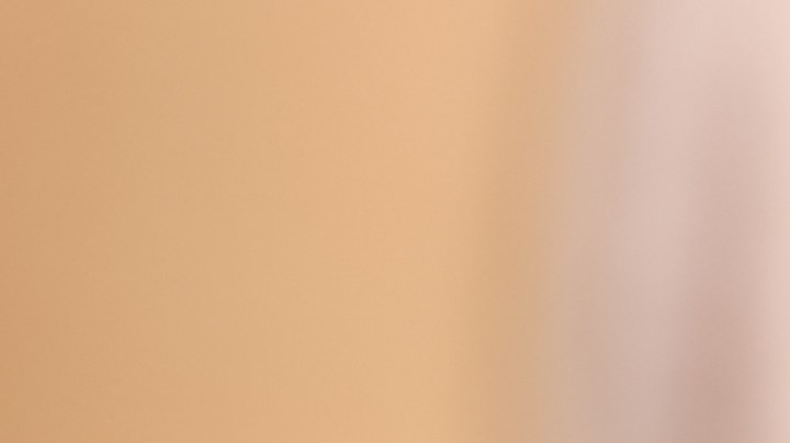 La planta de trébol proviene de la familia de las papilionáceas, porque tienen sus hojas partidas en tres lóbulos. Supuestamente, cuando tiene cuatro es por una mutación genética.