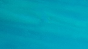Es recomendable el uso de lentes de piscina para ver bajo el agua, y si no cuentes con ellos, trata de mantenerlos cerrados.