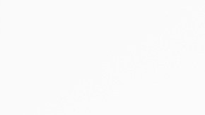 El aceite de coco puede causar irritación en el estómago si lo ingieres accidentalmente e interactúa con alimentos o fármacos.