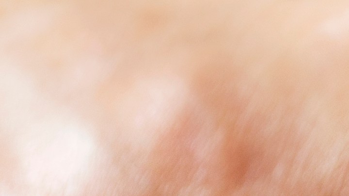 Los tomates son una excelente opción alimenticia, en favor de tus intestinos.