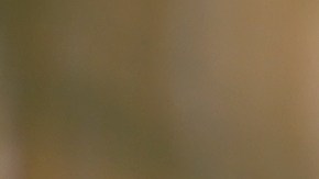 Un baño relajante puede durar entre 20 y 30 minutos, suficiente tiempo para lograr los beneficios y sin que tu piel se reseque.