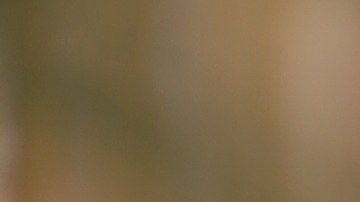 Un baño relajante puede durar entre 20 y 30 minutos, suficiente tiempo para lograr los beneficios y sin que tu piel se reseque.