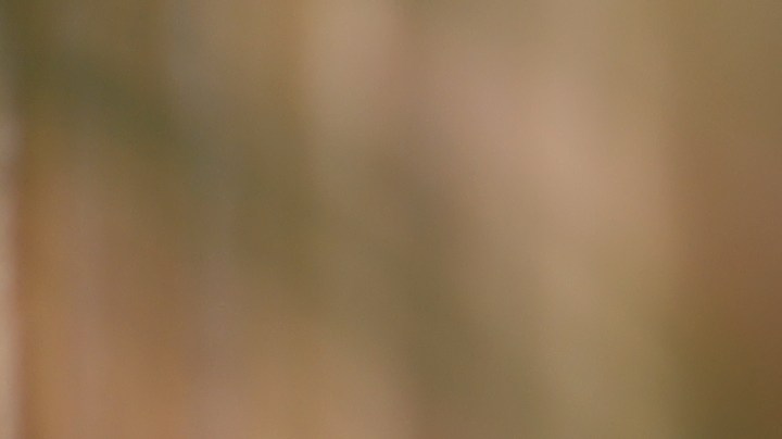 Un baño relajante puede durar entre 20 y 30 minutos, suficiente tiempo para lograr los beneficios y sin que tu piel se reseque.