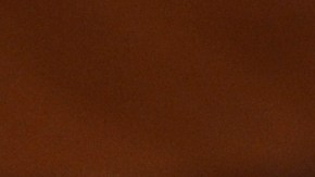 El bicarbonato de sodio es un remedio casero que nunca falla cuando se trata de limpieza y absorción de malos olores.