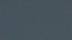 Cuando pican, los "chinches besucones" chupan la sangre y transmiten una enfermedad a través de sus excrementos.