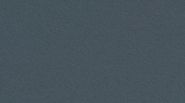 Cuando pican, los "chinches besucones" chupan la sangre y transmiten una enfermedad a través de sus excrementos.