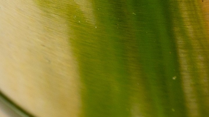 Generalmente, una lata de atún te aporta 98 calorías, 1 gramo de grasa, 43 mg de sodio y 22 gramos de proteínas.