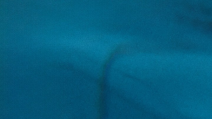 La natación es calificado como uno de los ejercicios más completos para el cuerpo, además de que ayuda a recuperarte de lesiones.