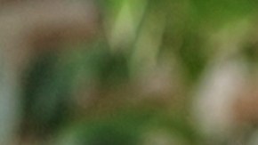 La felicidad en algunas sociedades proviene del "éxito financiero", porque es asociado con el bienestar y las metas.