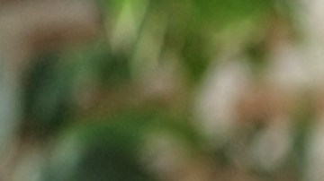 La felicidad en algunas sociedades proviene del "éxito financiero", porque es asociado con el bienestar y las metas.