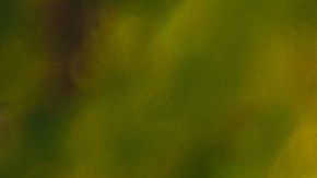 El mal aliento que no se comunica en una relación de pareja puede reducir la atracción y el interés por la intimidad.