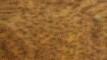 El paté de hígado fue elaborado en Virginia, entre el 11 de junio y 17 de julio, con una vida útil de 44 días.