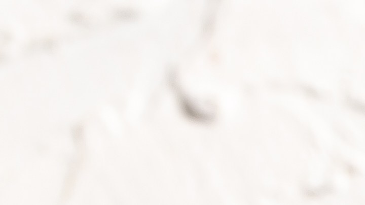 Las tostadas de aguacate es un desayuno infravalorado, que además de ser saludable, es rápido y delicioso.