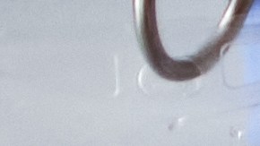 Los hombres son más propensos a morir de cáncer, debido al cigarrillo, las bebidas alcohólicas y asumir conductas inadecuadas.