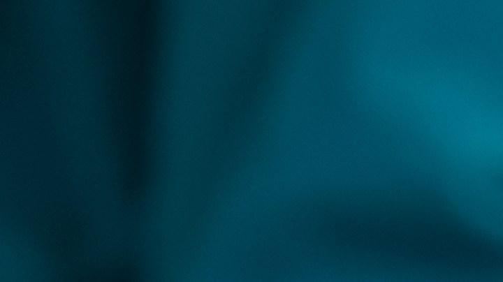 En los últimos cinco años, más de 650,000 estadounidenses fallecieron por patologías cardiovasculares.