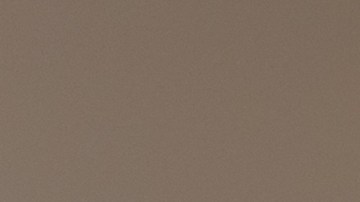 La hoja de laurel que utilices debe ser grande y colorida, sin manchas ni roturas.