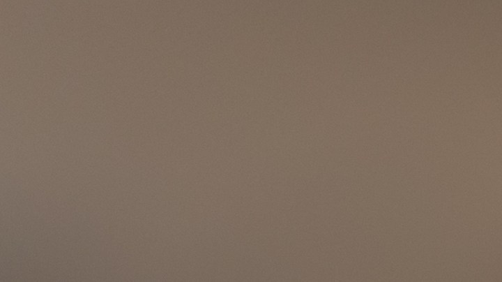 La hoja de laurel que utilices debe ser grande y colorida, sin manchas ni roturas.